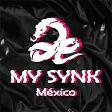 logo-SYNK.png